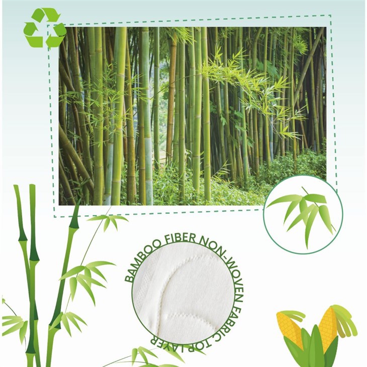 Compostable Women Sanitary Pads