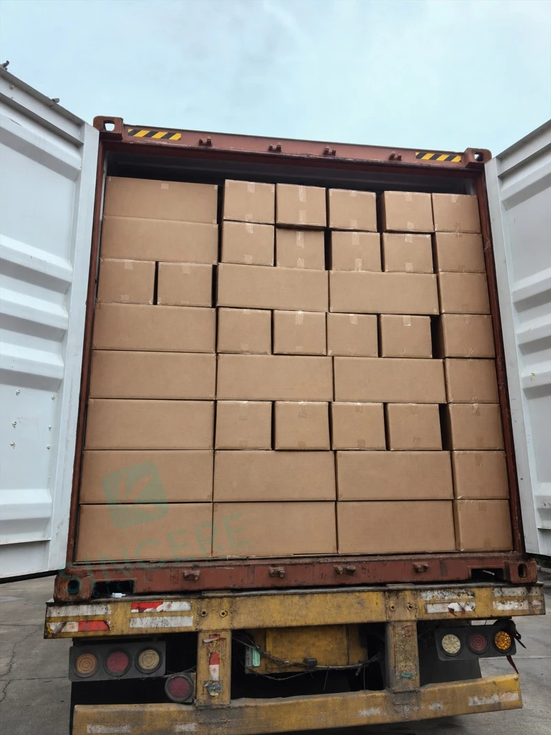 Eco-friendly sanitary pants and pant style sanitary pads shipment palletized in a 40HQ container for Mexico Eco-friendly sanitary pants and pant style sanitary pads shipment palletized in a 40HQ container for Mexico
